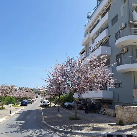 Appartement Iriana's In Center